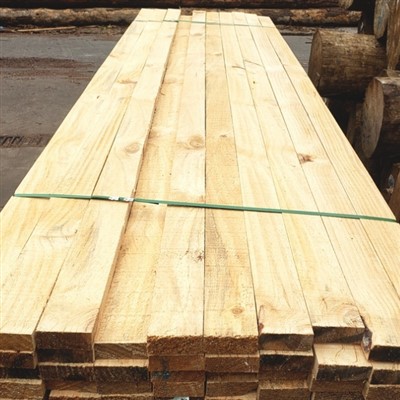 Säravad männiribad